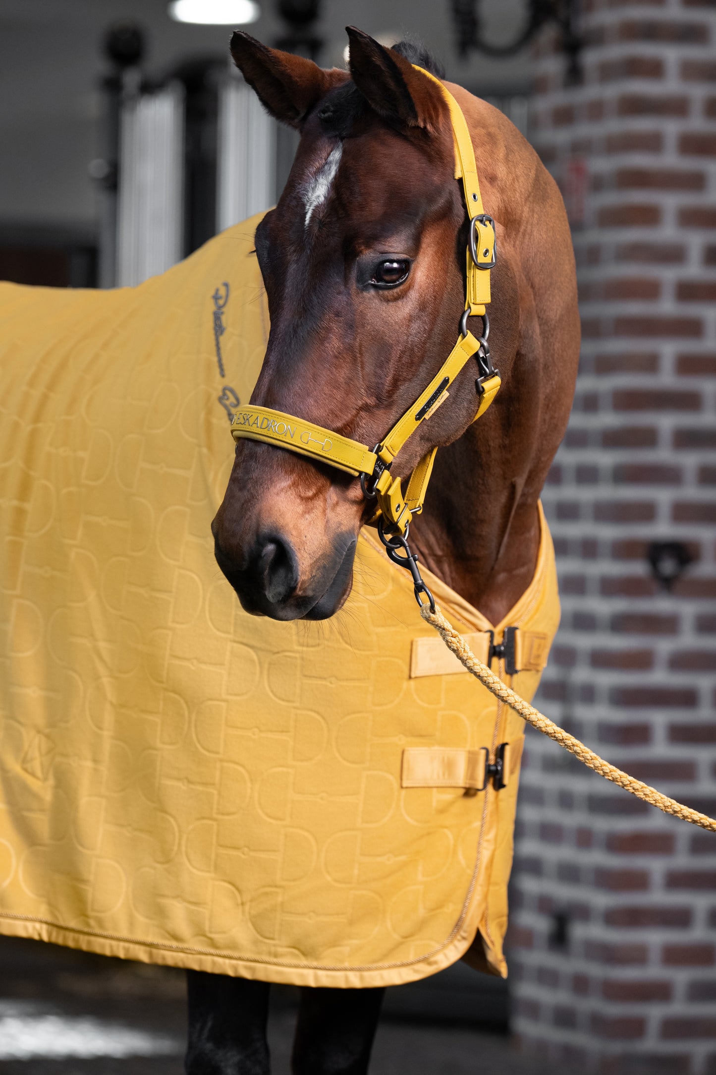 Derka polarowa Eskadron Fleece Stamp BIT Platinum 2025