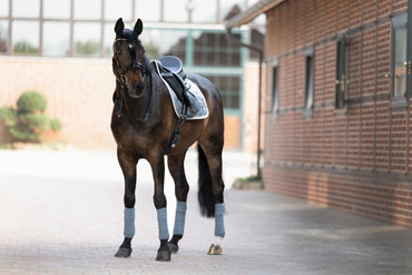 Czaprak Eskadron Glossy Wave Contrast Basic - Cavalo