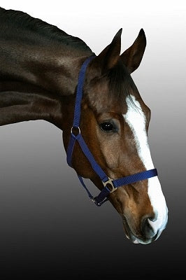 Kantar dla konia BASIS Fenix roz.Pony granatowy - Cavalo