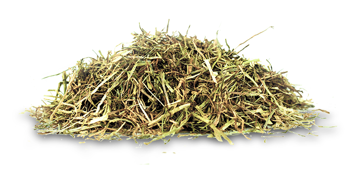 Sieczka Hartog Lucerne-Mix 18 kg mieszanka lucerny - Cavalo