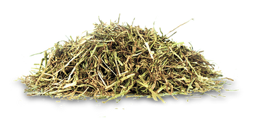 Sieczka Hartog Lucerne-Mix 18 kg mieszanka lucerny - Cavalo