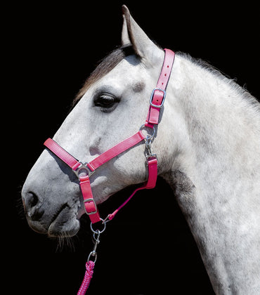 Kantar HKM Stars Softice miękko podszyty - Cavalo