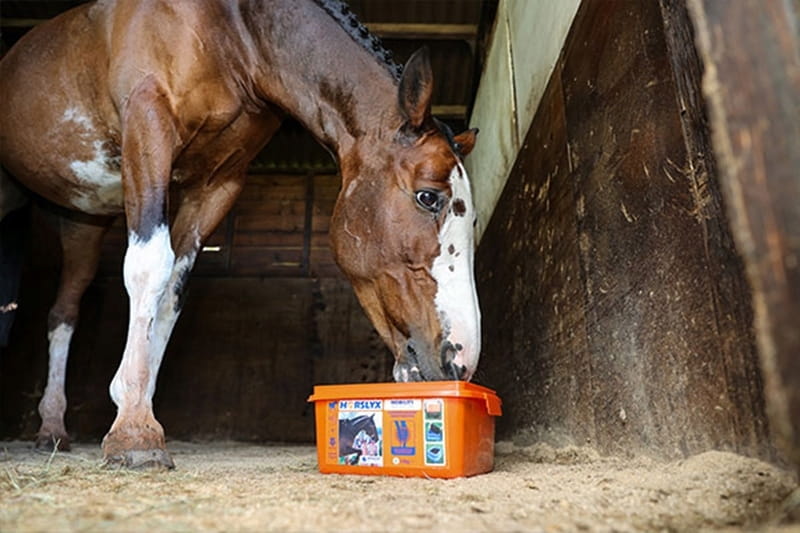 Horslyx Mobility mini lizawka witaminowa 5kg - Cavalo