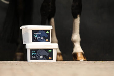 Cavalor Glinka dla konia Ice Clay 4 kg