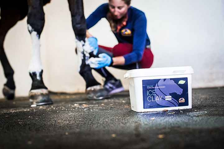 Cavalor Glinka dla konia Ice Clay 4 kg