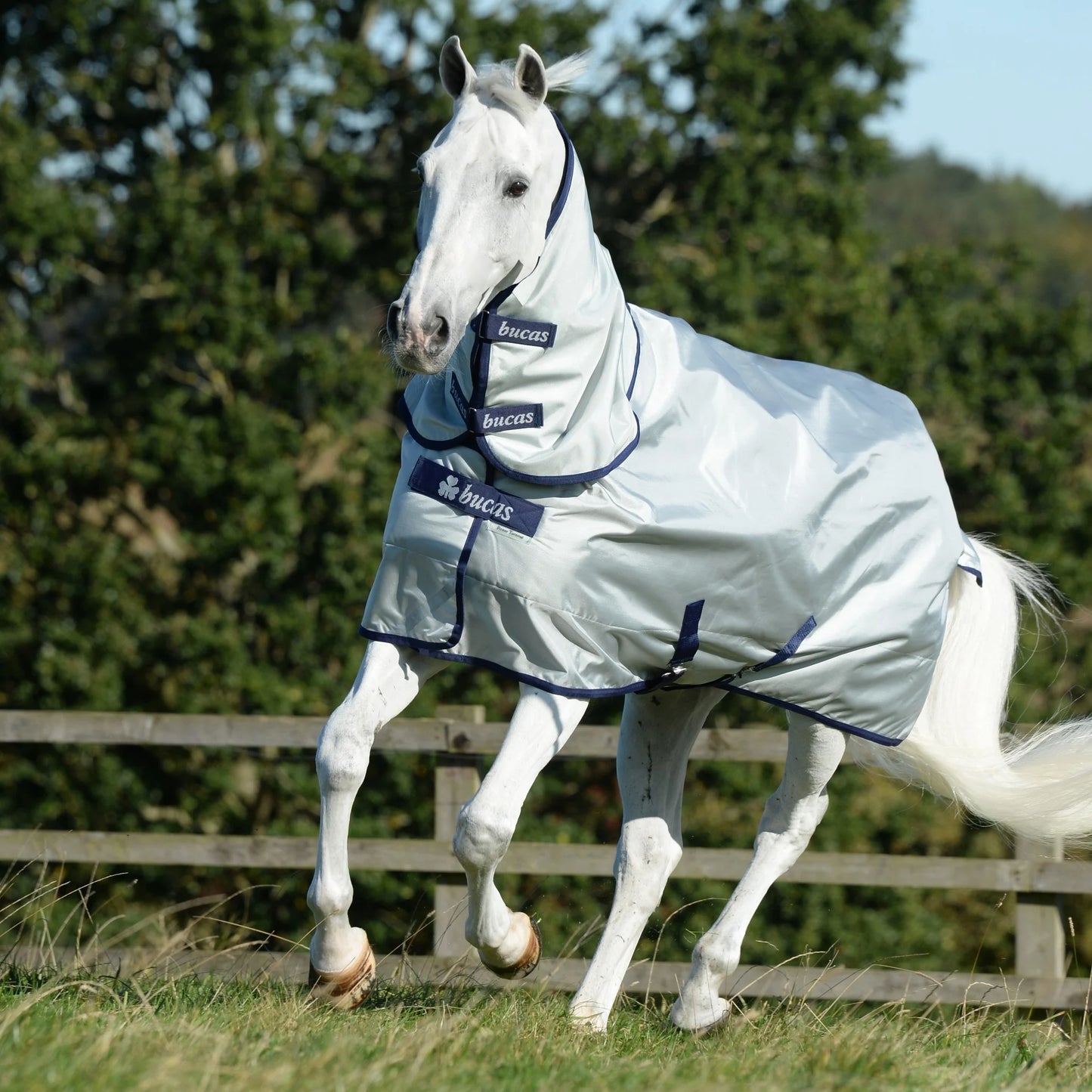 Kaptur Bucas Power Turnout Neck SIlver
