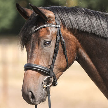 Ogłowie Diana Kavalkade KavalSH4 z nachrapnikiem angielskim - Cavalo