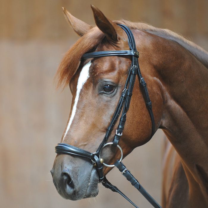 Ogłowie Lina Kavalkade Ecoline z nachrapnikiem hanowerskim - Cavalo