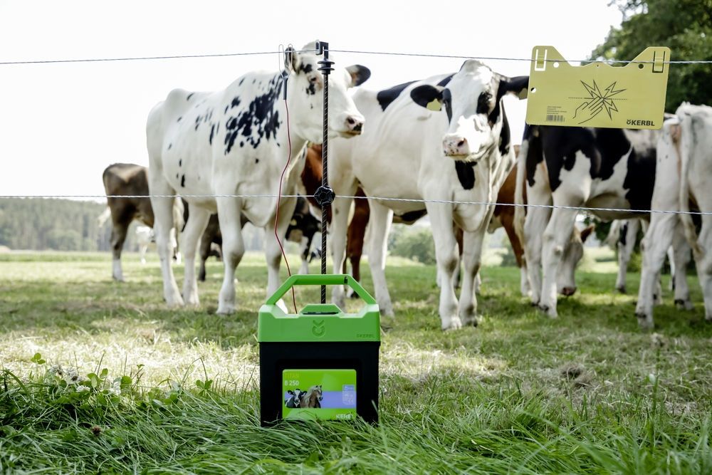 Elektryzator bateryjno - akumulatorowy 12V Kerbl Titan B250 - Cavalo