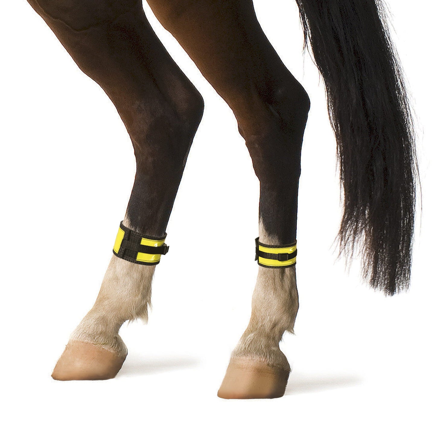 Opaski odblaskowe na nadpęcie dla konia, roz. Cob, para, blister, Kerbl - Cavalo