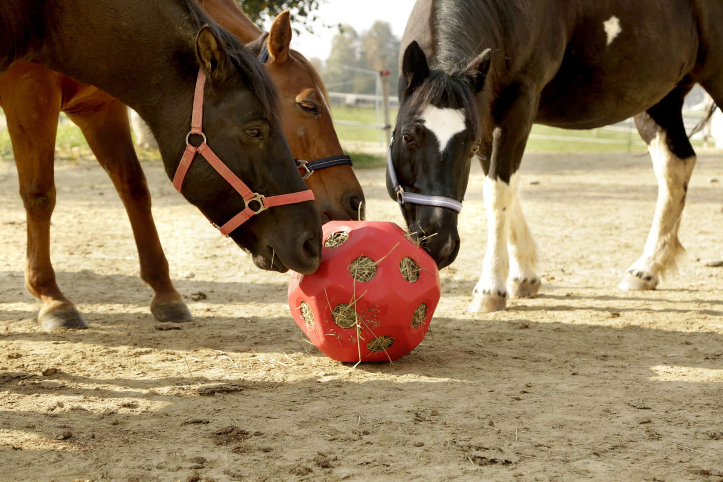 Piłka do zabawy dla konia HeuBoy 40 cm Kerbl - Cavalo