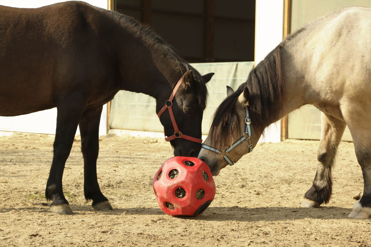 Piłka do zabawy dla konia HeuBoy 40 cm Kerbl - Cavalo