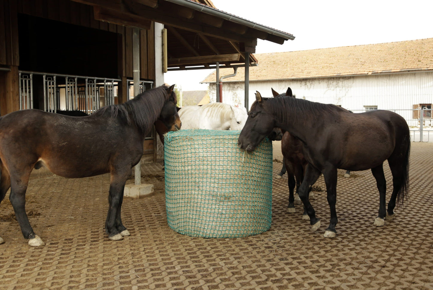 Siatka na siano do bel, zielony, 180 x 180 cm, oczko 4,5 cm, Kerbl - Cavalo
