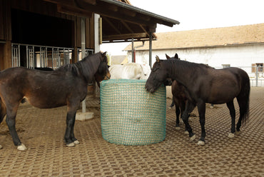 Siatka na siano do bel, zielony, 180 x 180 cm, oczko 4,5 cm, Kerbl - Cavalo