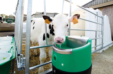 Poidło podgrzewane LAKCHO 24 V/50 W La Buvette - Cavalo