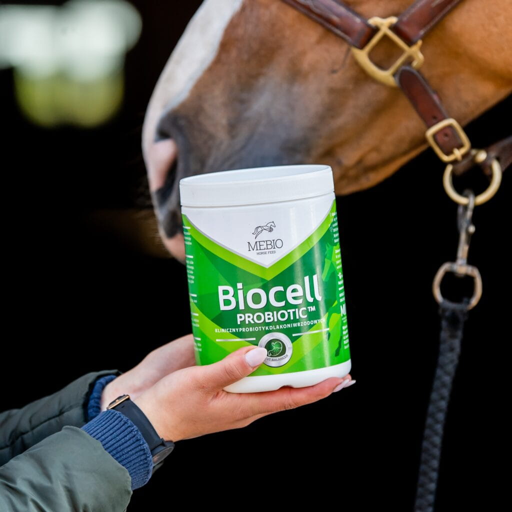 Mebio – BIOCELL – probiotyk 1 kg - Cavalo