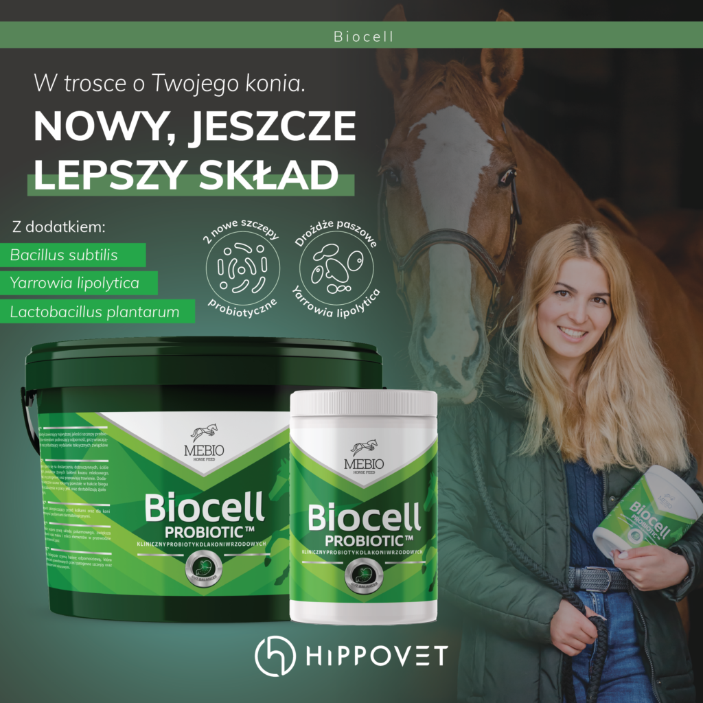 Mebio – BIOCELL – probiotyk 1 kg - Cavalo