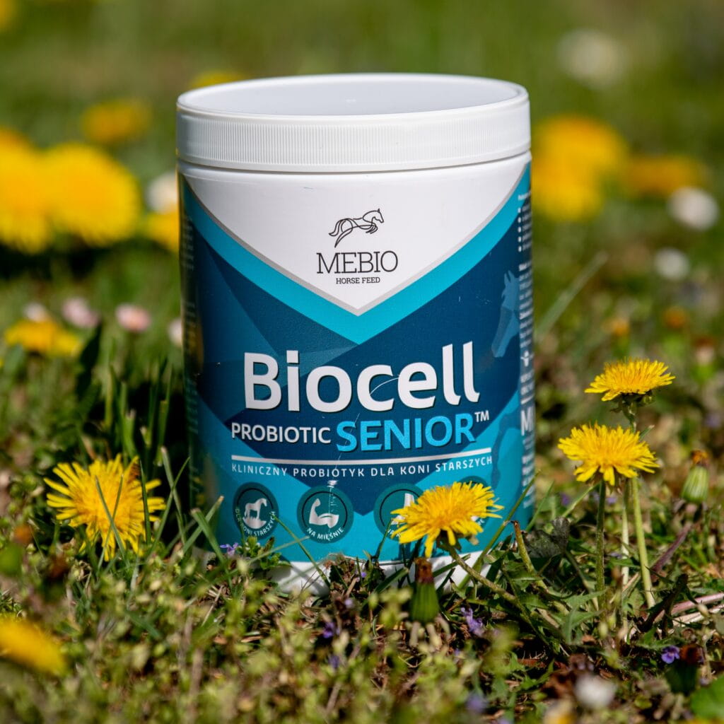 Mebio BIOCELL Senior – probiotyk 1 kg - Cavalo