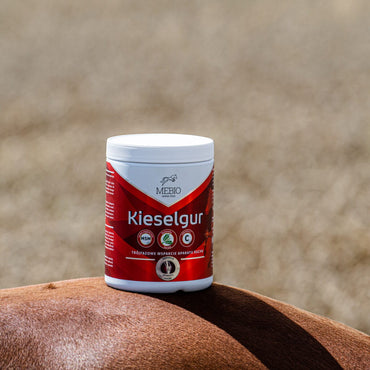 MEBIO Kieselgur MSM+WIT. C trójfazowe wsparcie aparatu ruchu 1 kg - Cavalo