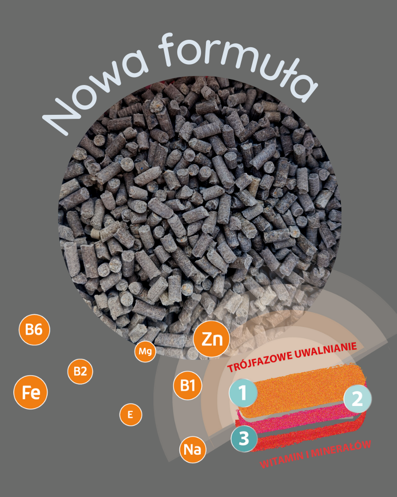 MEBIO Kieselgur MSM+WIT. C trójfazowe wsparcie aparatu ruchu 1 kg - Cavalo