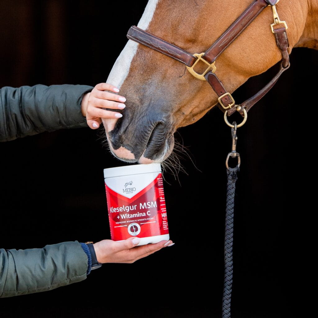 MEBIO Kieselgur MSM+WIT. C trójfazowe wsparcie aparatu ruchu 1 kg - Cavalo