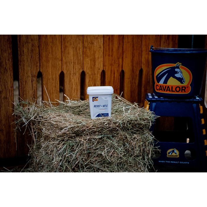 Cavalor Resist + Vit C - Suplement na odporność dla konia