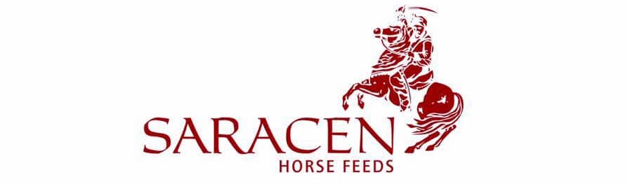 SARACEN Pasza Competition Fit Balancer 20kg - Cavalo