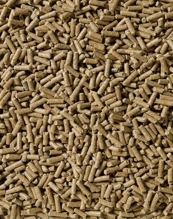 SARACEN Re-Leve-Cubes pasza dla koni 20 kg - Cavalo