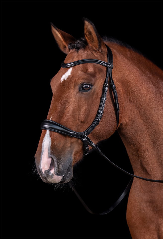 Ogłowie anatomiczne bezwędzidłowe Schockemohle "Equitus Theta" Black/Silver - Cavalo