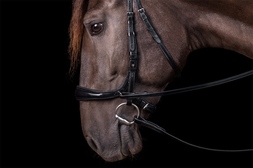 Ogłowie anatomiczne bezwędzidłowe Schockemohle "Equitus Theta" Black/Silver - Cavalo