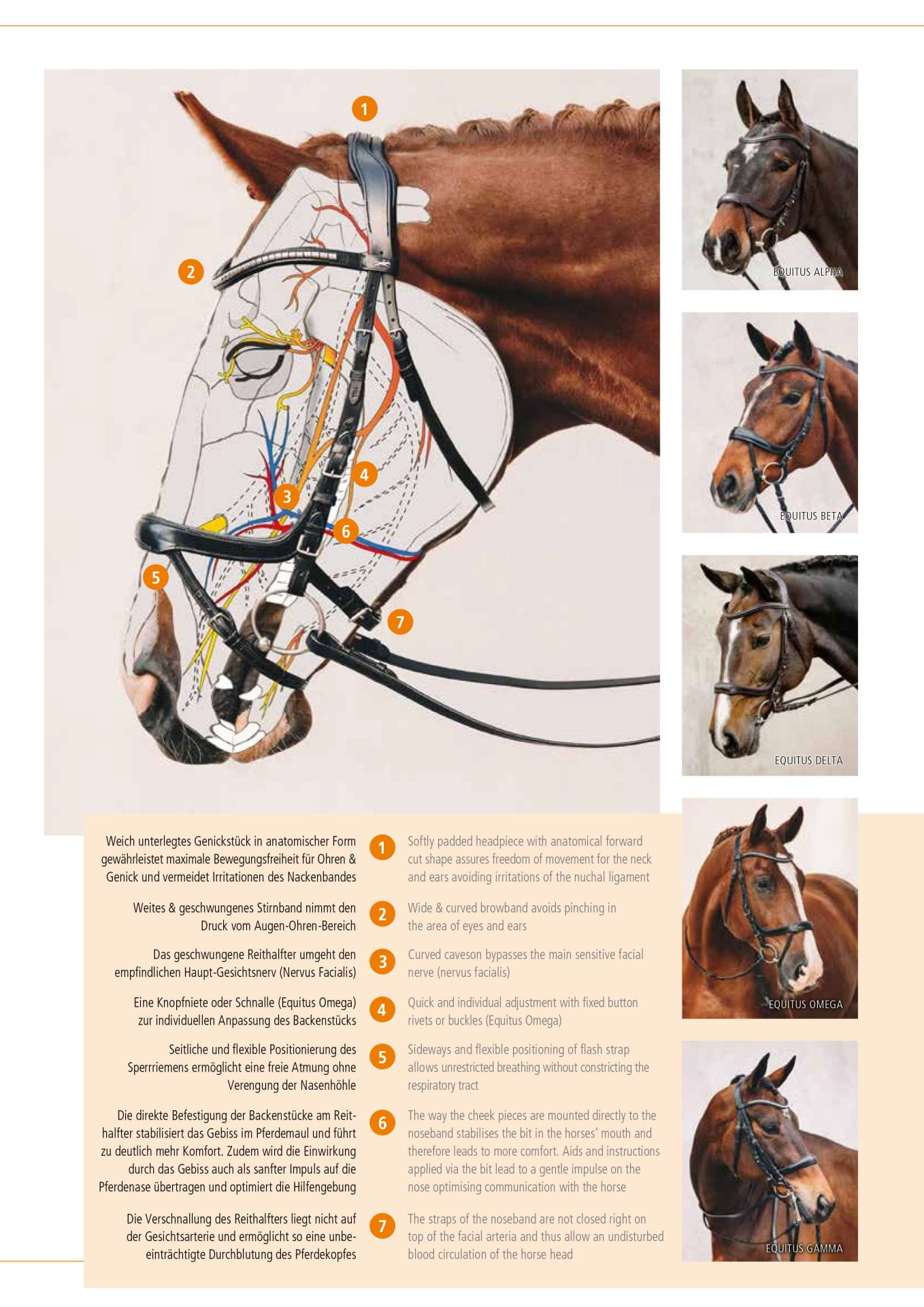 Ogłowie anatomiczne bezwędzidłowe Schockemohle "Equitus Theta" Black/Silver - Cavalo