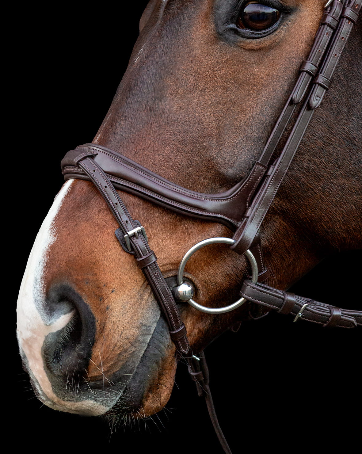 Ogłowie anatomiczne Schockemohle "Ancona Select " Espresso/Silver - Cavalo