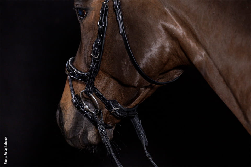 Ogłowie anatomiczne Schockemohle "Equitus Beta Glam " Black/Patent/silver - Cavalo