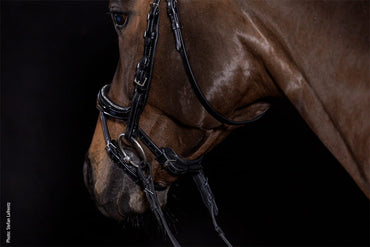 Ogłowie anatomiczne Schockemohle "Equitus Beta Glam " Black/Patent/silver - Cavalo