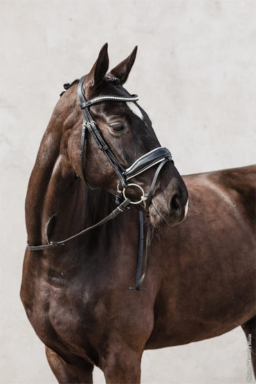 Ogłowie skórzane nachrapnikiem szwedzkim Schockemohle "Malibu" Espersso/Silver - Cavalo