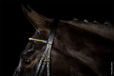 Ogłowie skórzane Schockemohle "Heidelberg" Black - Cavalo