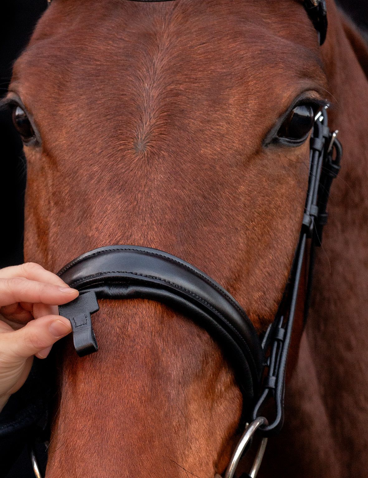 Ogłowie skórzane Schockemohle "MALAGA" - Cavalo