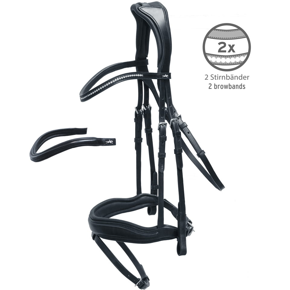 Ogłowie skórzane z nachrapnikiem angielskim Schockemohle "Concord" Black/Silver - Cavalo