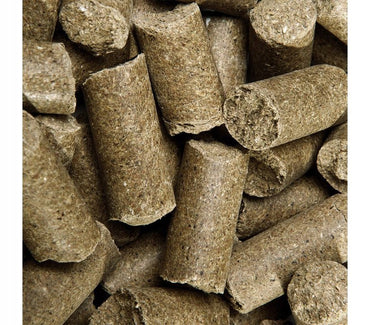 Delicious Speed apple jabłko przysmak dla koni 1kg - Cavalo