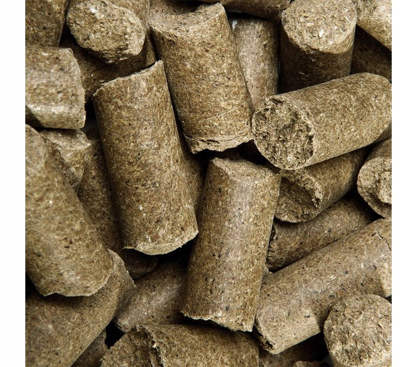 Delicious Speed apple jabłko przysmak dla koni 5kg - Cavalo