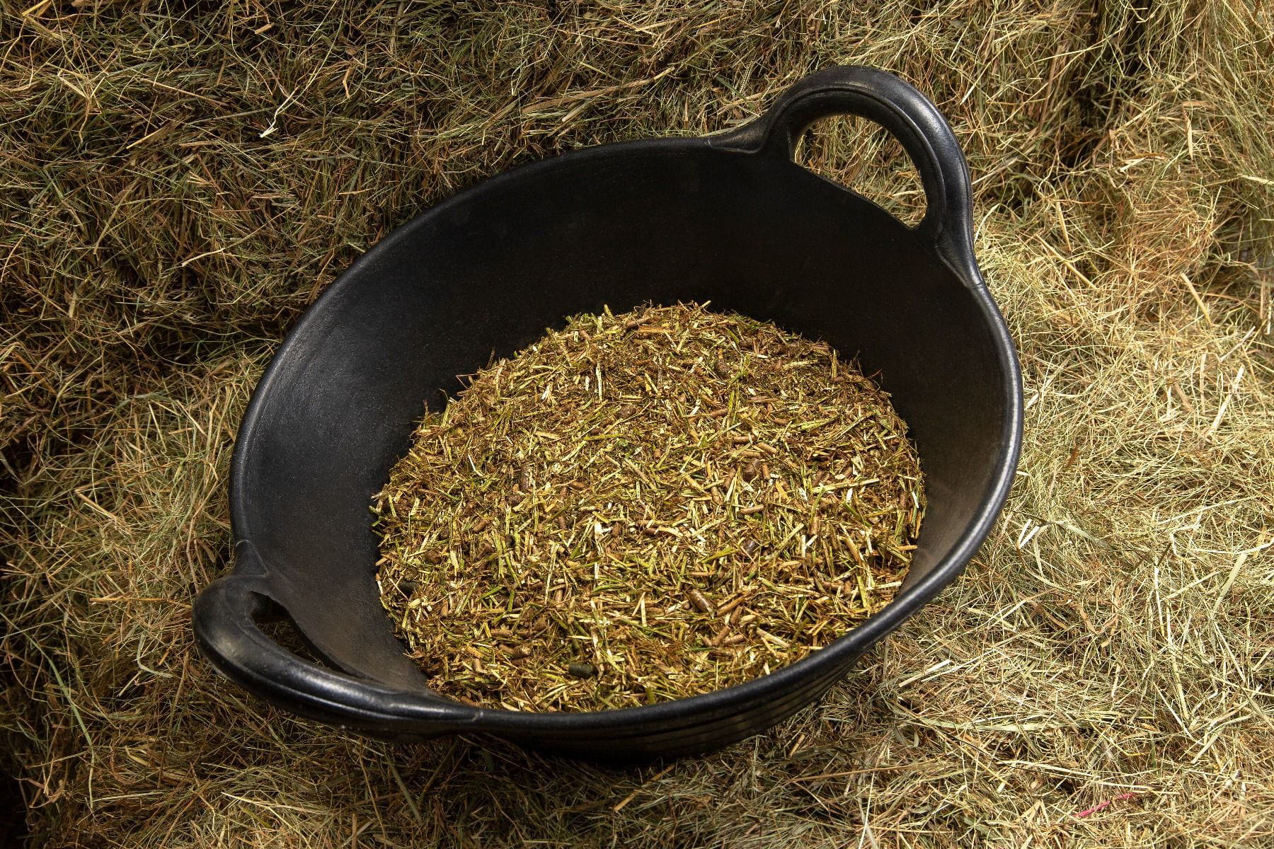 Sieczka Spillers Alfalfa-Pro Fibre 20kg dla konia z lucerny z dodatkiem oleju rzepakowego - Cavalo