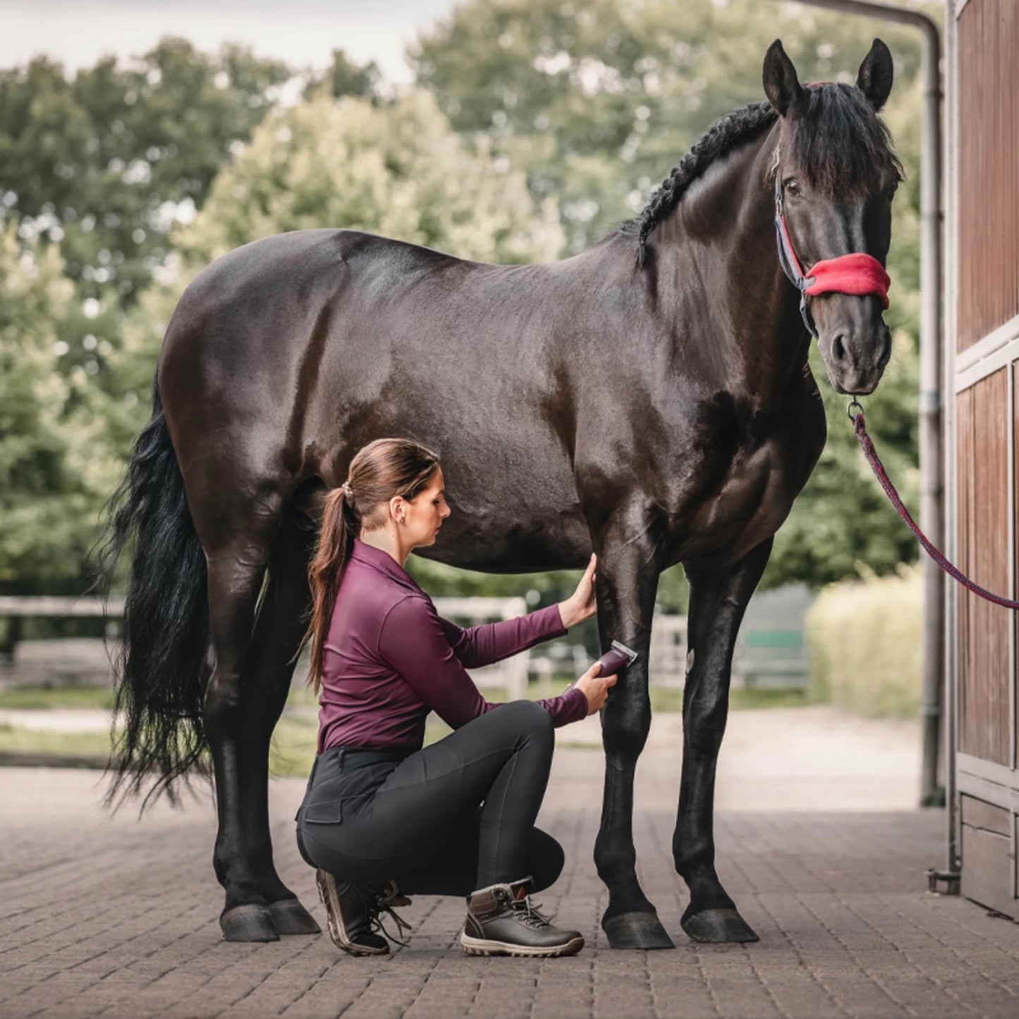 Maszynka bezprzewodowa do strzyżenia koni WAHL KM Supera LA - Cavalo