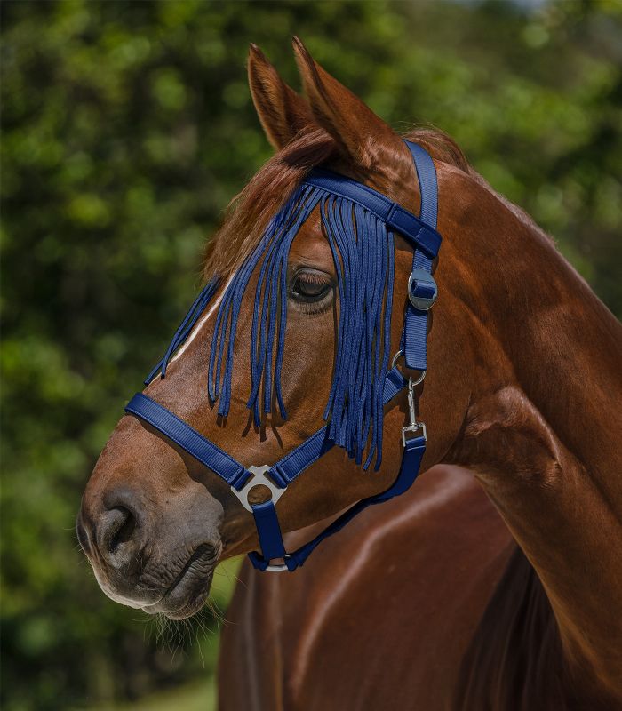 Waldhausen Frędzle przeciw owadom na rzep - Cavalo