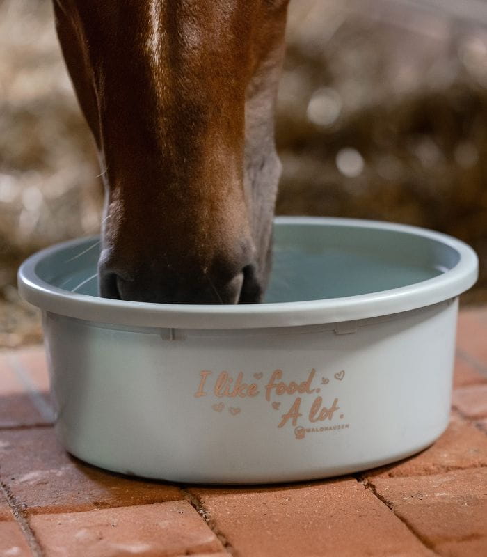 WALDHAUSEN Miska Flexi Bowl 8l turquoise - Cavalo