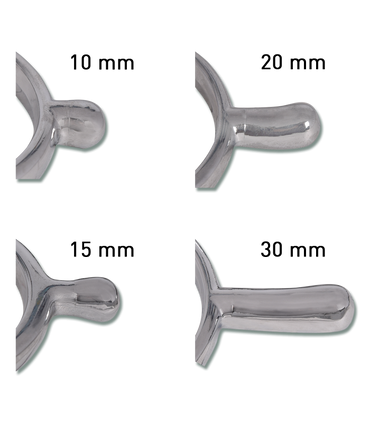 Waldhausen Ostrogi Crystal z paskami white 10mm - Cavalo