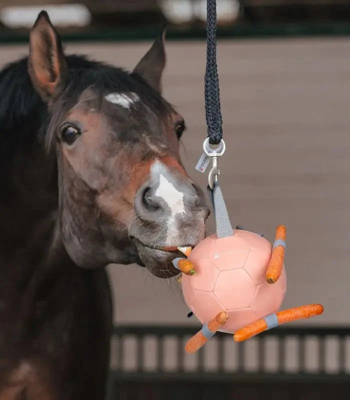 Waldhausen Piłka na marchewki dla koni - Cavalo