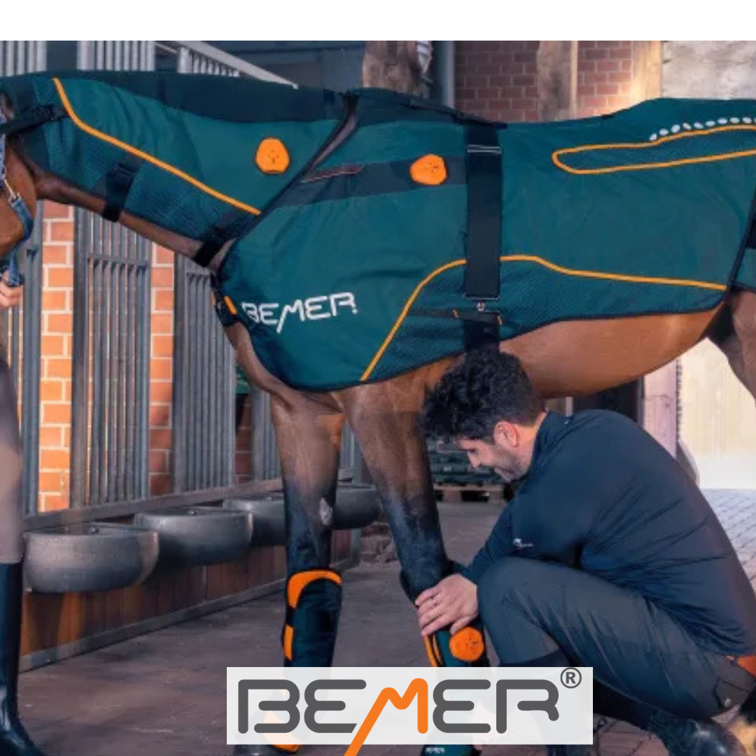 Derka magnetyczna dla konia: Jak wspiera zdrowie, regenerację i wydajność