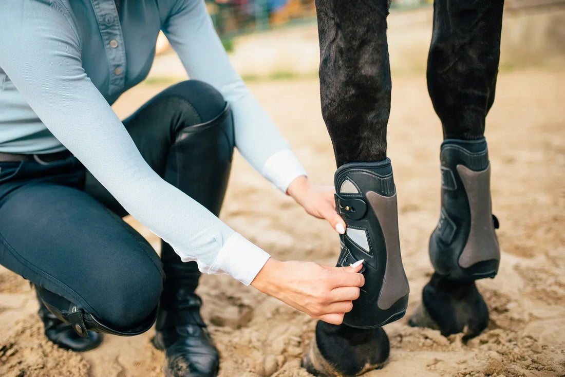 Ochraniacze dla konia – po co je stosować i jak je prawidłowo dobrać? - Cavalo