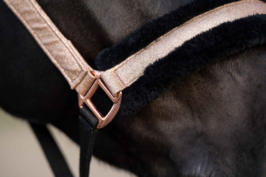 Jak wybrać idealny kantar dla konia z futerkiem?