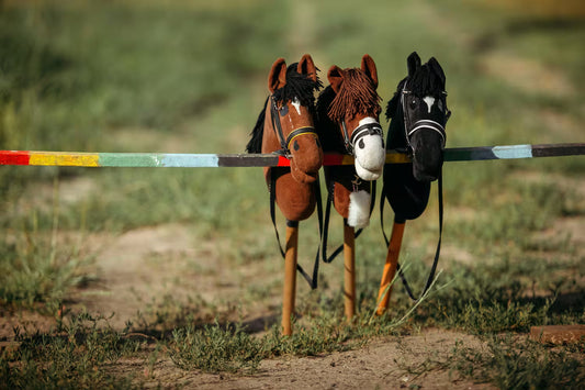Hobby horse – od podwórka po zawody. Jak rozwijać pasję dziecka